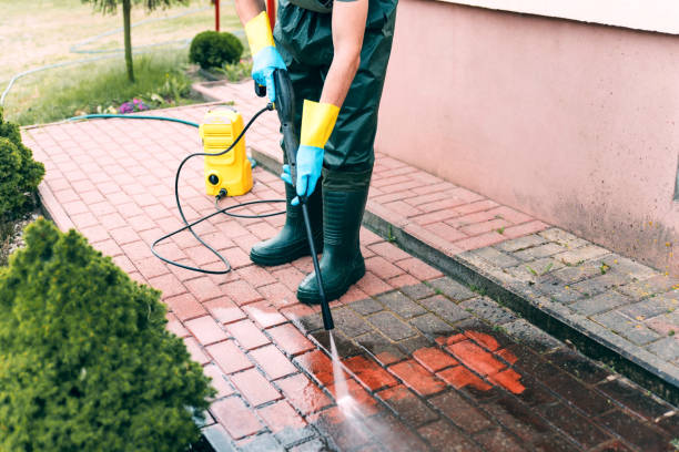 Best Exterior Home Cleaning  in Princevle, IL