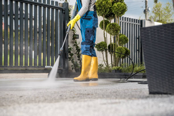 Best Garage Pressure Washing  in Princevle, IL