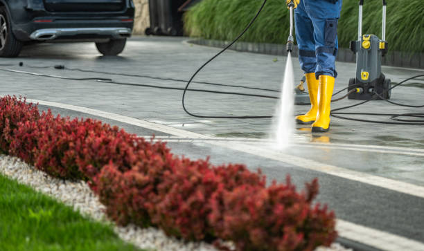 Best Exterior Home Cleaning  in Princevle, IL