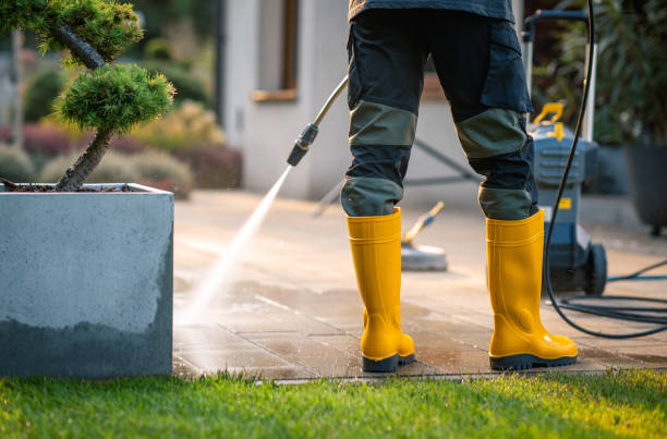 Best Residential Pressure Washing Services  in Princevle, IL